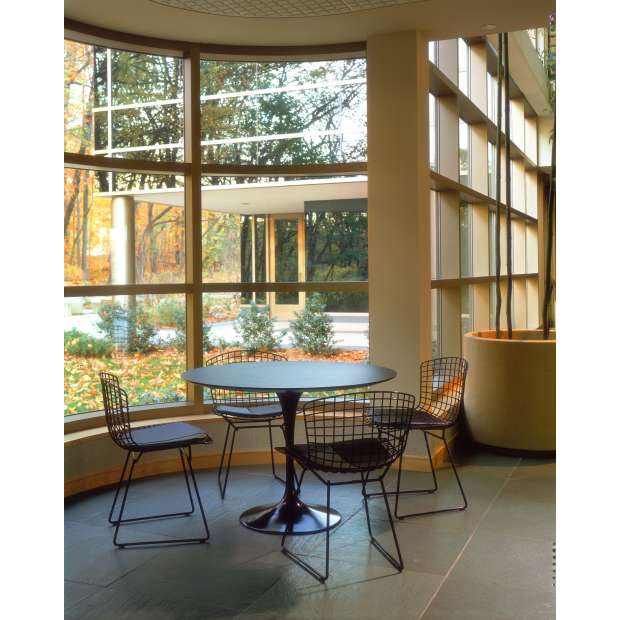 Bertoia Side Chair, Black rilsan (exterieur) - Knoll - Harry Bertoia - Outdoor Dining - Furniture by Designcollectors