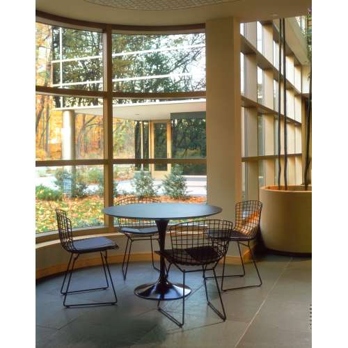 Bertoia Side Chair, Black rilsan (exterieur) - Knoll - Harry Bertoia - Outdoor Dining - Furniture by Designcollectors